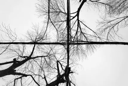 Crystal Kazino Mobilioji programa